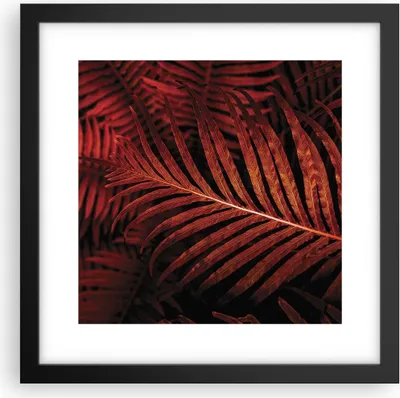 Produktbild von Gerahmtes Poster - Schwarzer Rahmen - Rot Blätter Palmen - 30x30 cm - Wand Bild - Wanddeko - Wandbilder - Kunstposter - Wandposter - Bilderrahmen - Bilder - Kunstdruck - P2BAC30x30-4816