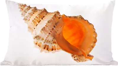 Produktbild von MuchoWow® Zierkissen Sofakissen Wohnzimmer Dekokissen 50x30 cm Muschel - Meer - Strand - Wohnzimmerdekoration - Polster mit Photo