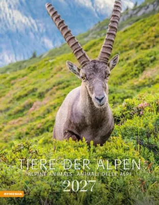 Produktbild von Tiere der Alpen - Kalender 2027