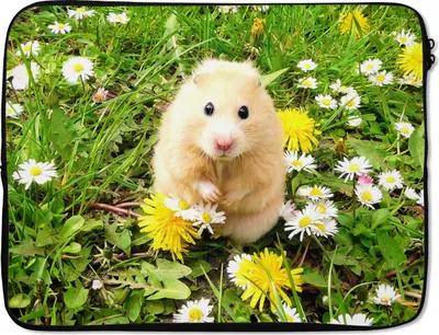 Produktbild von MuchoWow® Laptop Hülle 17 Zoll Laptoptasche Hamster zwischen Blumen - Zipper - Schutzabdeckung