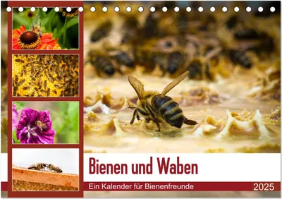 Produktbild von Bienen und Waben (Tischkalender 2025 DIN A5 quer), CALVENDO Monatskalender