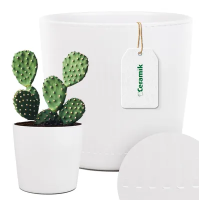 Image de Cache-pot céramique Ceramik Lamelles Blanc 15 cm