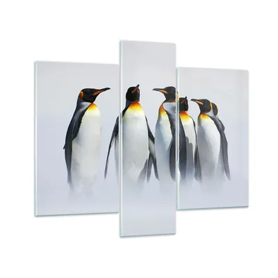 Produktbild von Bilder auf glas - Pinguine Winter Schnee Spaziergang - 95x80cm - Glasbilder - Wandbilder - Kunstdruck - zum Aufhängen bereit - Wanddekoration aus Glas - Glas Bilder - Wandbild auf Glas - GCB95x80-2893
