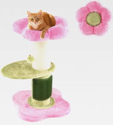 Pinke Kratzbume gnstig kaufen  Kaufland.at