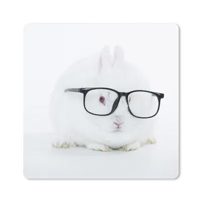 Produktbild von MuchoWow® Mauspad Mousepad Kaninchen - Brille - Hipster 20x20 cm - Mousepads - Maus Mat - Pad - Mausunterlage - Desk Mat - Bureauartikeln