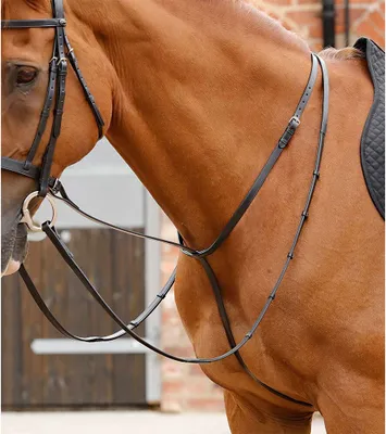 Image de Premier Equine Gressan Martingale fixe Noir Full Noir Full
