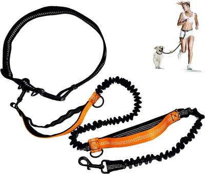 Produktbild von Joggingleine für Hunde, elastische und Hundeleine zum Joggen, 150 cm * 2,5 cm