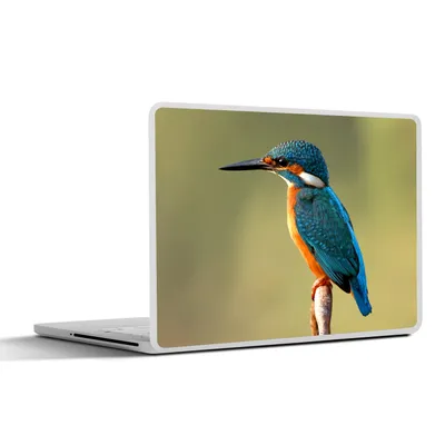 Produktbild von MuchoWow® Laptop Aufkleber Sticker Cover Eisvogel - Zweig - Tiere 31x22.5 cm - Laptop-Deko