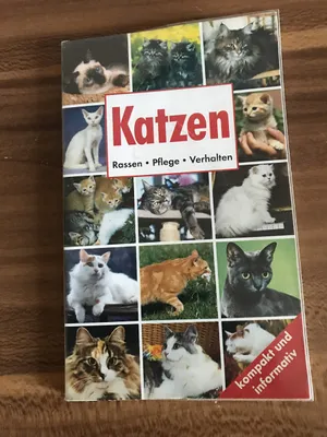 Produktbild von Katzen | kolektiv