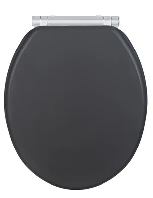A top-down view of a dark gray toilet seat with silver hinges, isolated on a white background.