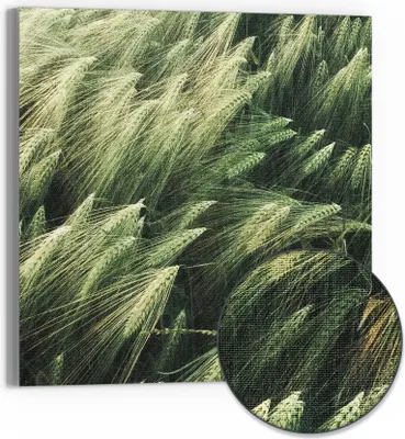 Produktbild von DEQORI Hybrid Leinwand Bild 50x50 cm 'Getreidefeldidylle' Wandbild Glas flach modern