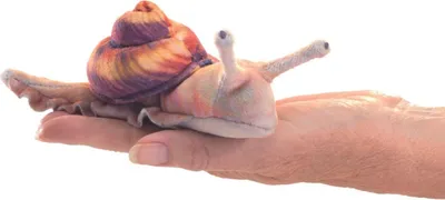 Produktbild von Folkmanis 8003 Fingerpuppe Schnecke