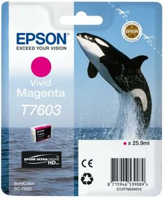 Image de Disque dur externe Seagate Basic 4 To, 2,5 pouces, USB 3.0, Noir