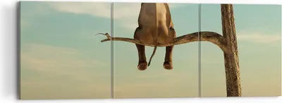 Produktbild von Bild auf Leinwand - Leinwandbild - 3 Teile - Elefant sitzend Ast - 120x40cm - Wand Bild - Wanddeko - Wandbilder - Leinwanddruck - Bilder - Wanddekoration - Leinwand bilder - Wandbild - CA120x40-4557