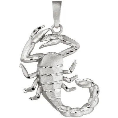 Produktbild von Anhänger Sternzeichen Skorpion 925 Sterling Silber matt Sternzeichenanhänger