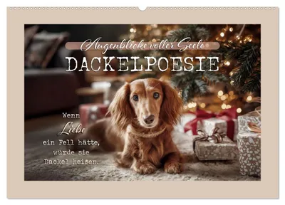 Produktbild von Dackelpoesie - Augenblicke voller Seele (Wandkalender 2027 DIN A2 quer), CALVENDO Monatskalender