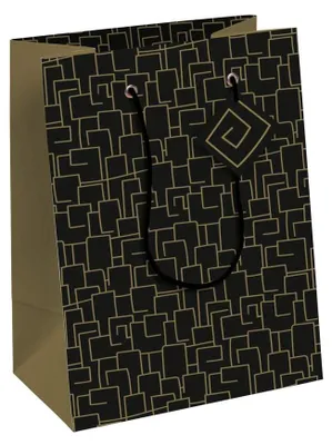 Zdjęcie produktu dla Clairefontaine 32478-3C, Torebka na prezent, Wzór, 210 g/m², 215 mm, 102 mm, 253 mm
