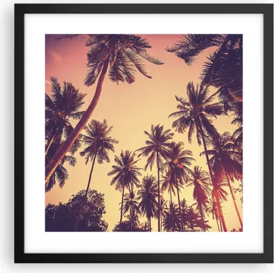Produktbild von Gerahmtes Poster - Schwarzer Rahmen - Palmen Himmel Sonne - 40x40 cm - Wand Bild - Wanddeko - Wandbilder - Kunstposter - Wandposter - Bilderrahmen - Bilder - Kunstdruck - Wandbild - P2BAC40x40-4220