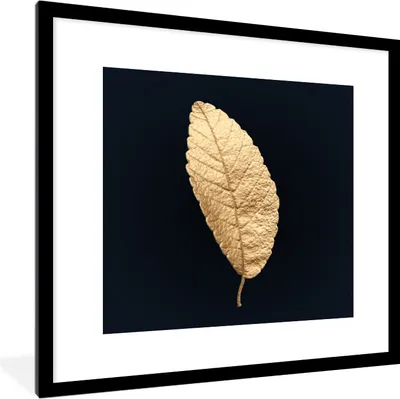 Produktbild von MuchoWow® MuchoWow® Gerahmtes Poster Schwarz und Gold - Blätter - Schwarz - Pflanzen - Luxus 40x40 cm - Poster mit zchwarzem Bilderrahmen - Poster - Plakat im Rahmen