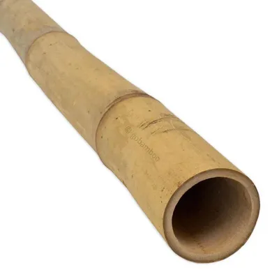 Obrázok produktu pre Bambus Guadua tyč Ø 5-7 cm 3m