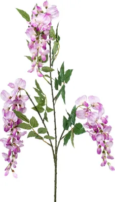 Produktbild von artplants.de Kunst Blauregenzweig ONORATO mit Blüten, lila, 70cm - Künstlicher Blauregen Zweig/Dekozweig Wisterie