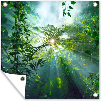 Produktbild von MuchoWow® 100x100 cm Outdoor-Poster Gartendeko Sichtschutz Garten Poster für den Garten  Die Sonne scheint durch die Wälder eines Regenwaldes in Malaysia