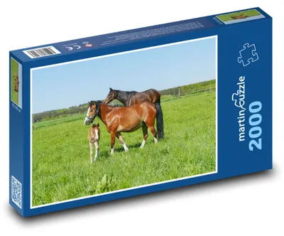 Obrázek produktu pro martinpuzzle - Puzzle 2000 - Stádo koní