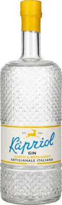 Image de Kapriol LEMON & BERGAMOT Gin Artigianale Italiano 40,7% Vol. 0,7l
