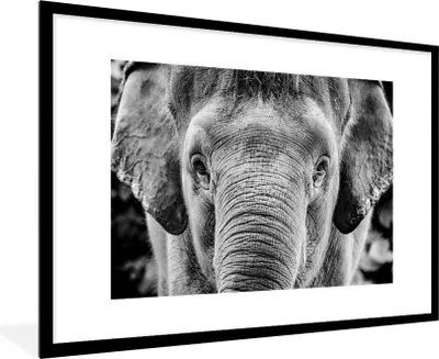 Produktbild von MuchoWow® Gerahmtes Poster Nahaufnahme Porträt eines Elefanten - schwarz und weiß 90x60 cm - Poster mit Schwarzem Bilderrahmen Wandposter Rahmen Foto Bilder - Wanddekoration - Fotos