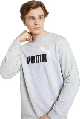 Produktbild von Sweatshirt Puma 586763-04 für Herren