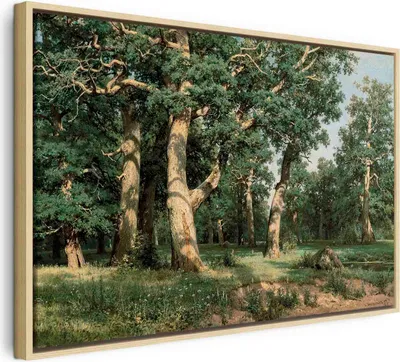 Produktbild von Italienischer Leinwand Leinwandbild - Oak Forest 90x60 cm Reproduktionen l-F-10008-b-a