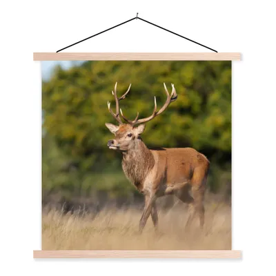 Produktbild von MuchoWow® Textilposter Tiere - Hirsche - Geweihe - Waldtiere - Natur 60x60 cm mit holzfarbenen Rahmen - Wanddekoration