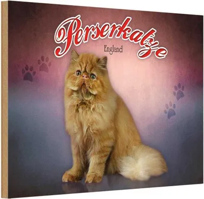 Produktbild von vianmo Holzschild 20x30 cm Katze Perserkatze England Tier Haustier