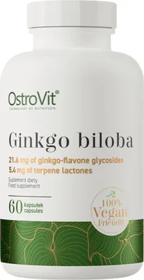 Obrázek produktu pro OstroVit | Ginkgo Biloba 90 mg / Vege