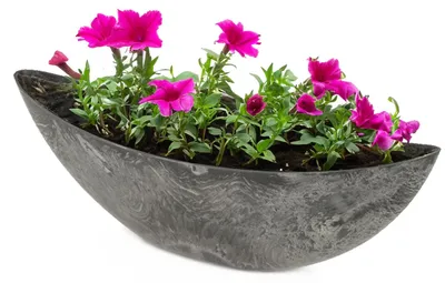 Immagine prodotto di Fioriera ovale grande 55 cm per esterni Ciotola decorativa nera