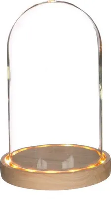 Produktbild von Beleuchtete Glasglocke 21,5 cm x Ø 14 cm