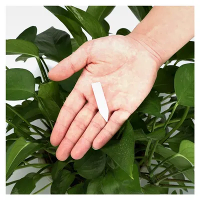 Produktbild von 200 Stück Pflanzenschilder 5 x 1 cm, kleine Pflanzenstecker zum Beschriften, wetterfeste Pflanzenschilder für den Außenbereich, Beetbeschriftungen, Pflanzenetiketten für Kräuter