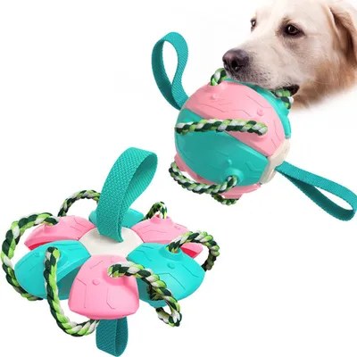 Image de os à mâcher 2 en 1 pour chiens, Frisbee pour chiens pour activités en plein air(Rose)