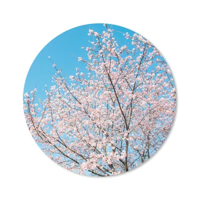 Produktbild von MuchoWow® Mauspad Mousepad Kirschbaum - Japan - Blüte 30x30 cm - Mousepads - Maus Mat - Pad - Mausunterlage - Tischunterlage - Schreibtischmatten