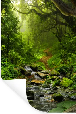 Produktbild von MuchoWow® Wandtattoo Wandsticker Wandaufkleber Natur - Wasser - Dschungel - Wald - Tropisch 80x120 cm Selbstklebend und Repositionierbar - Repositionierbar - Wasser abweisend