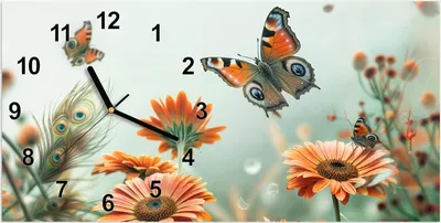 Produktbild von Wanduhr aus Glas mit Motiv Schmetterling Wiese- 60 x 30 cm - inkl. Aufhängesystem
