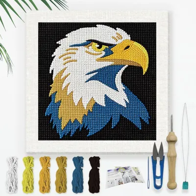 Obrázok produktu pre Sada na vyšívanie ihlou "punch needle" s motívom bielohlavého orla, 24x24 cm, vhodná pre začiatočníkov, obsahuje priadzu a ihlu
