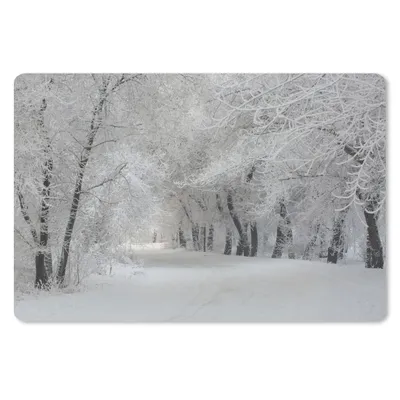 Produktbild von MuchoWow® Schreibtischunterlage Bäume - Schnee - Winter 60x40 cm - XXL Mauspad - Großes Mauspad