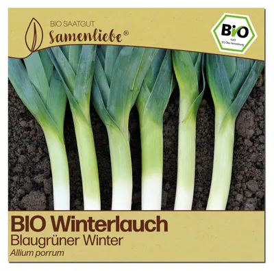 Produktbild von Samenliebe  Lauch Samen | Blaugrüner Winter - winterhart - samenfestes  Saatgut