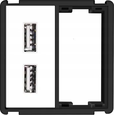 Image de Module de prise USB 2x 2,4A Système RTX SH