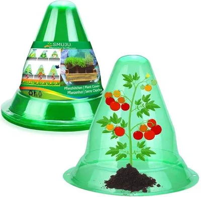 Produktbild von 25er-Set Transparante Plantenhoed, Plantenkegel, Ø 27 cm, Grün, Vogel- und Schneeschutz