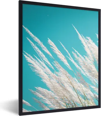 Produktbild von MuchoWow® Gerahmtes Poster Pampasgras - Pflanze 60x80 cm - Poster mit Schwarzem Bilderrahmen Wandposter Rahmen Foto Bilder - Premium - Wanddeko Wohnzimmer