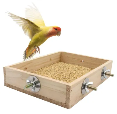 Produktbild von Holz Futterbecher mit Sitzstange für Vögel & Kleintiere 20x15x4 cm Kiefernholz