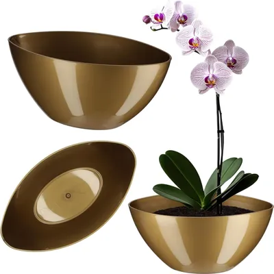 A collage of a gold oval planter pot, showing different angles and a potted orchid.