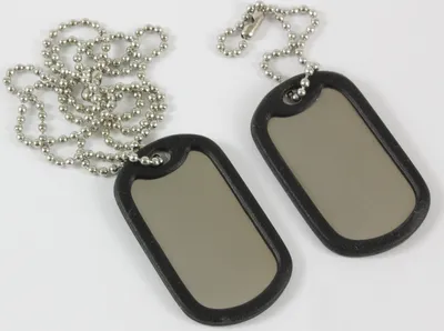 Two US-style dog tags with black rubber silencers and silver ball chains are laid out on a white background.